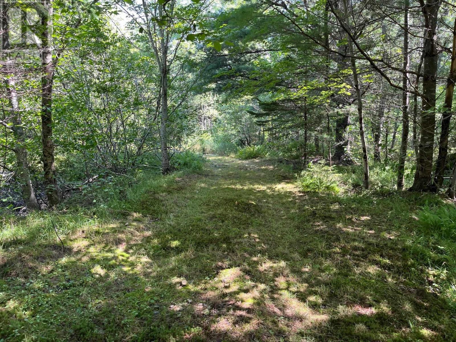 Lot 24-2 Mckeen Road, Watford, Nova Scotia  B0R 1E0 - Photo 21 - 202503146