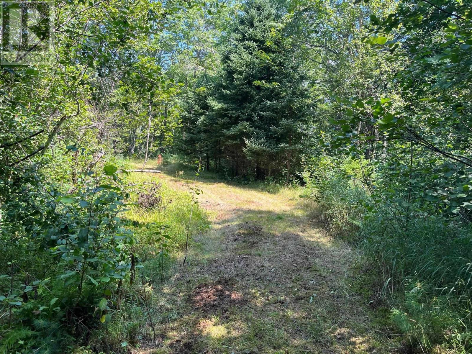 Lot 24-2 Mckeen Road, Watford, Nova Scotia  B0R 1E0 - Photo 20 - 202503146