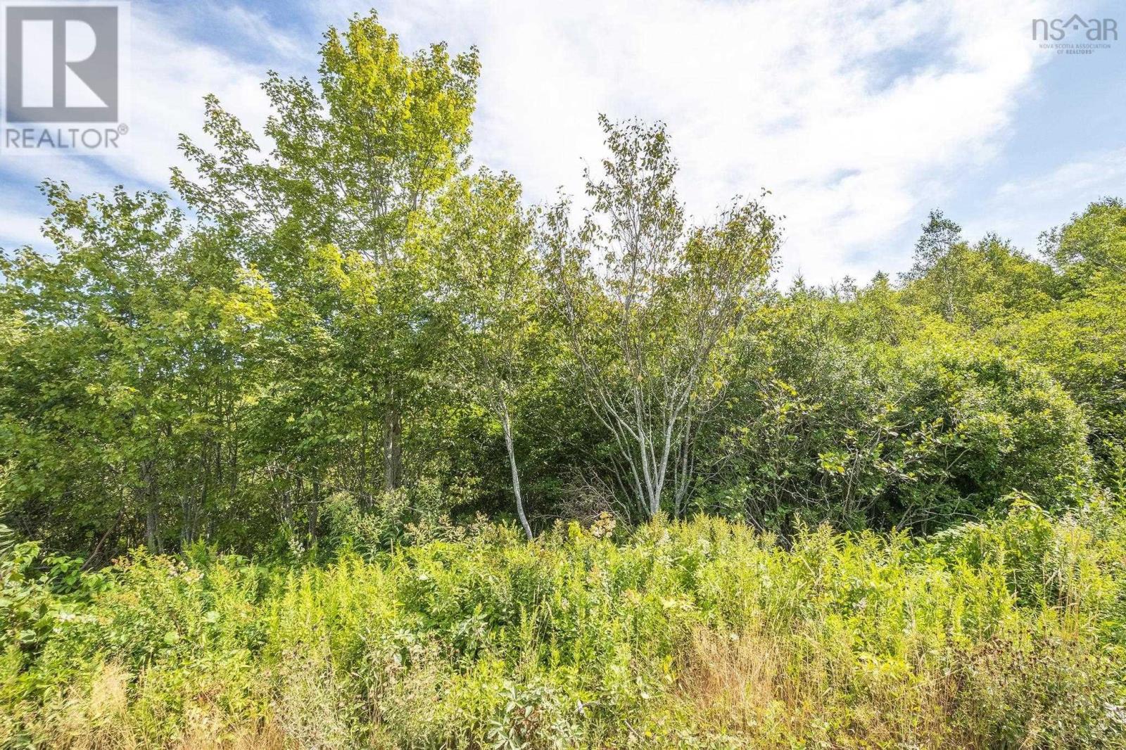 Lot 15/17 Oakridge Road, Church Point, Nova Scotia  B0W 2Z0 - Photo 39 - 202506386