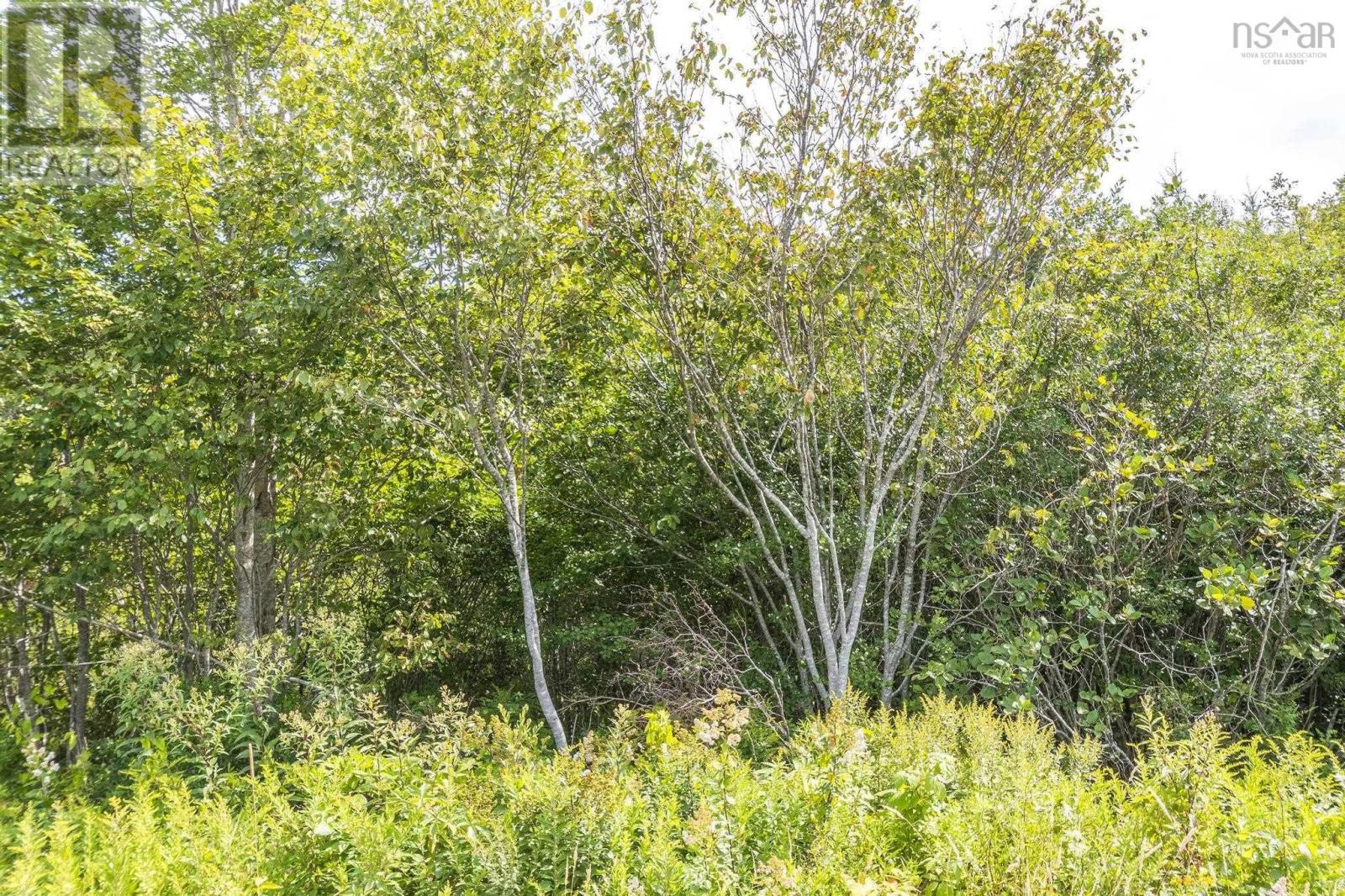 Lot 15/17 Oakridge Road, Church Point, Nova Scotia  B0W 2Z0 - Photo 40 - 202506386