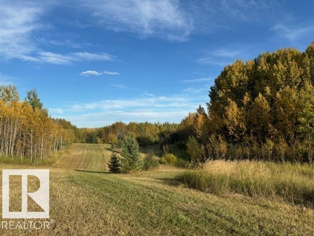 61015 Range Road 174, Rural Smoky Lake County, Alberta  T0A 3C0 - Photo 3 - E4436454