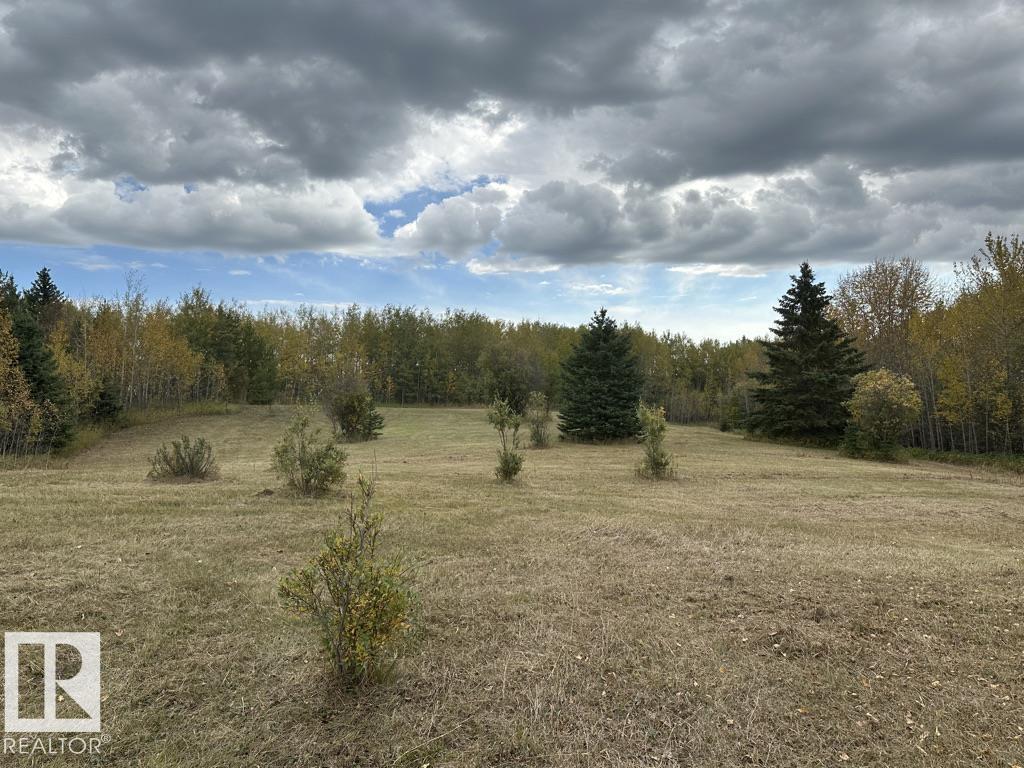 61015 Range Road 174, Rural Smoky Lake County, Alberta  T0A 3C0 - Photo 5 - E4436454