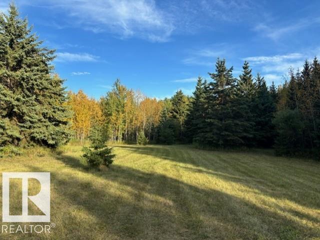 61015 Range Road 174, Rural Smoky Lake County, Alberta  T0A 3C0 - Photo 4 - E4436454