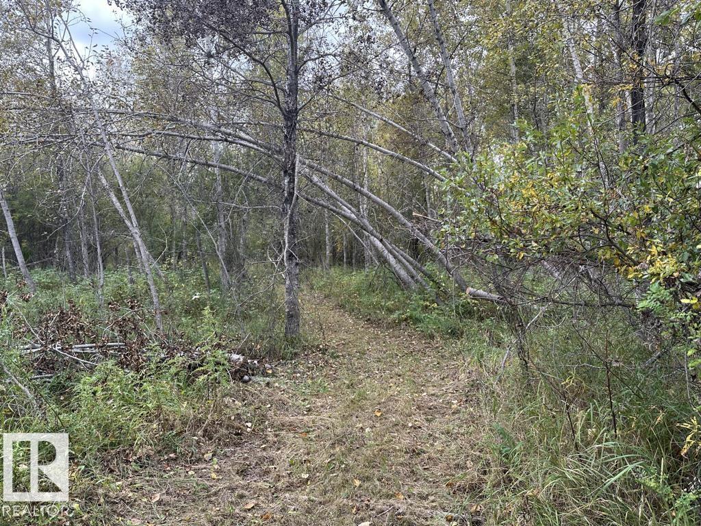 61015 Range Road 174, Rural Smoky Lake County, Alberta  T0A 3C0 - Photo 7 - E4436454