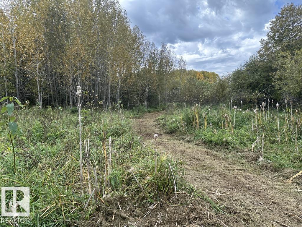 61015 Range Road 174, Rural Smoky Lake County, Alberta  T0A 3C0 - Photo 8 - E4436454