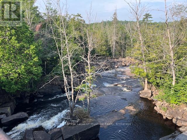 36 Ottawa Avenue, South River, Ontario  P0A 1X0 - Photo 29 - X12244955