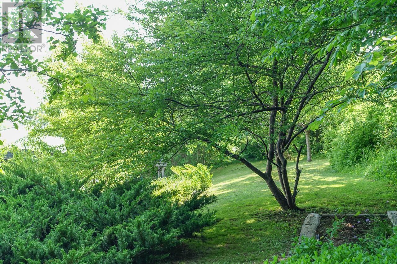 405 Chester Avenue, Kentville, Nova Scotia  B4N 3V8 - Photo 43 - 202514761