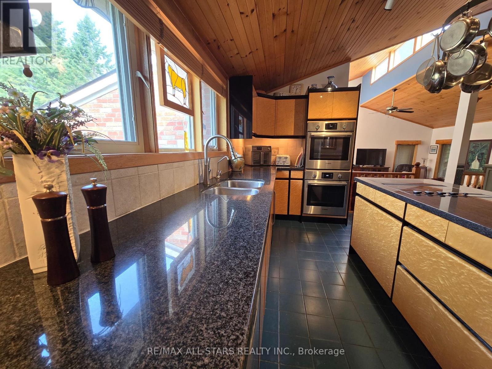 321 Rabys Shore Drive, Kawartha Lakes (Fenelon Falls), Ontario  K0M 1N0 - Photo 12 - X12332446