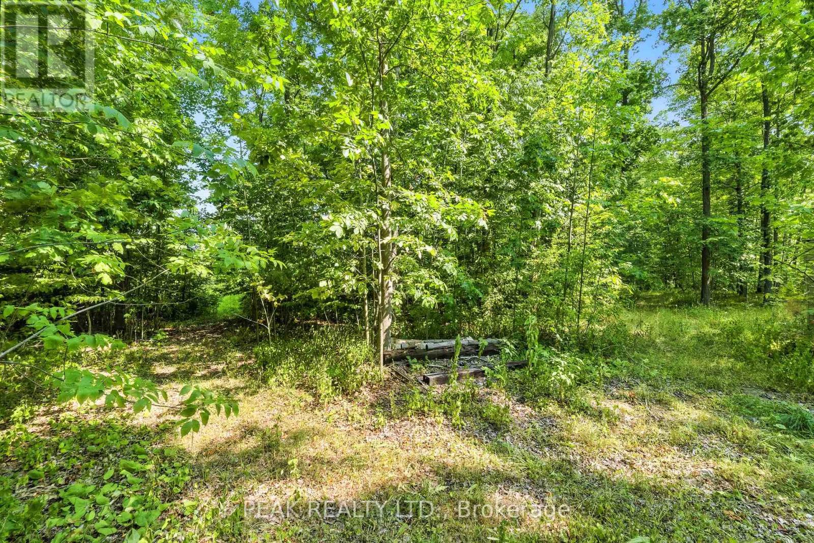1849 Fry Road, Prince Edward County, Ontario  K0K 2T0 - Photo 22 - X12332562
