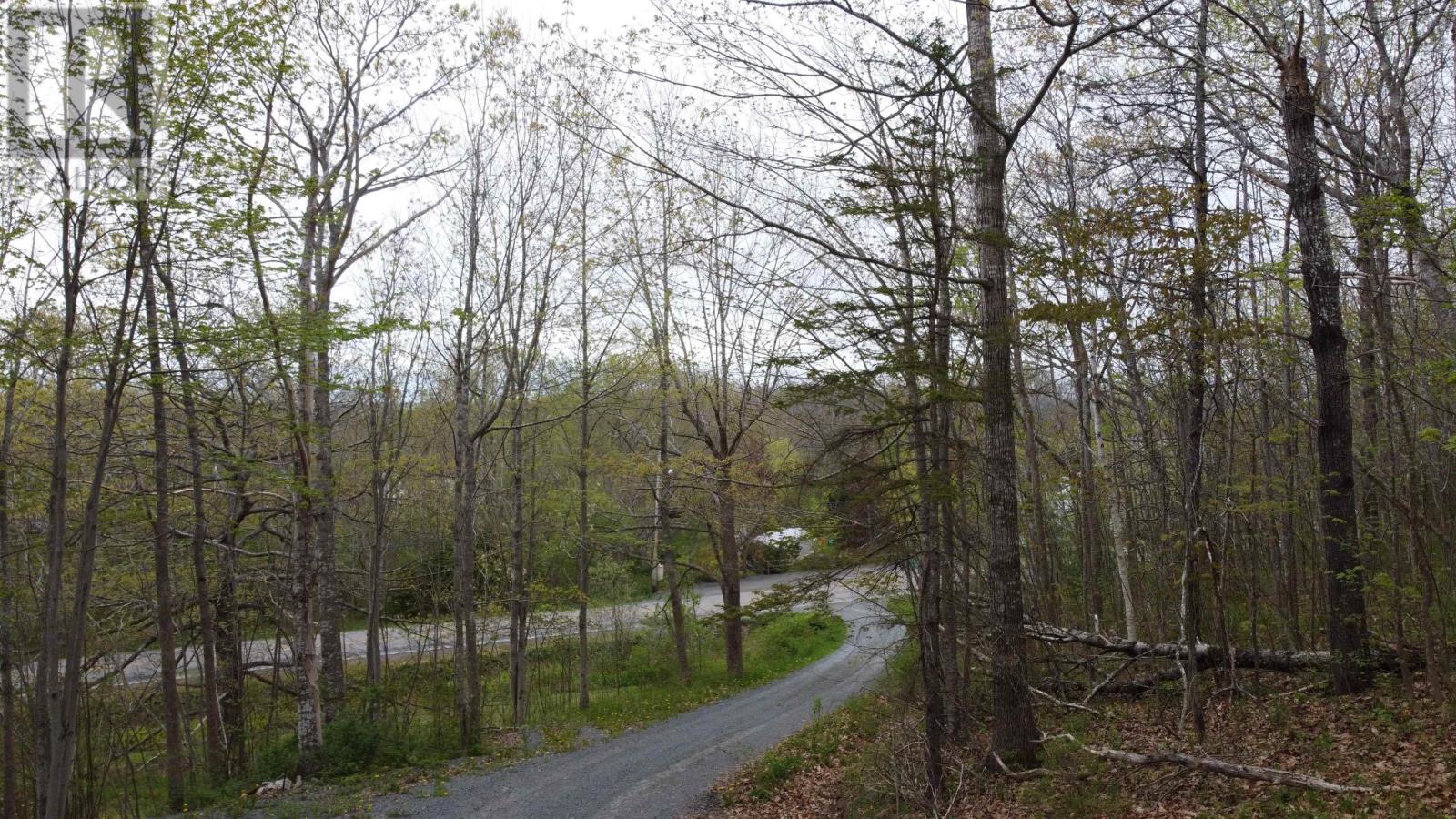 4820 Highway 215, Summerville, Nova Scotia  B0N 2A0 - Photo 11 - 202519354