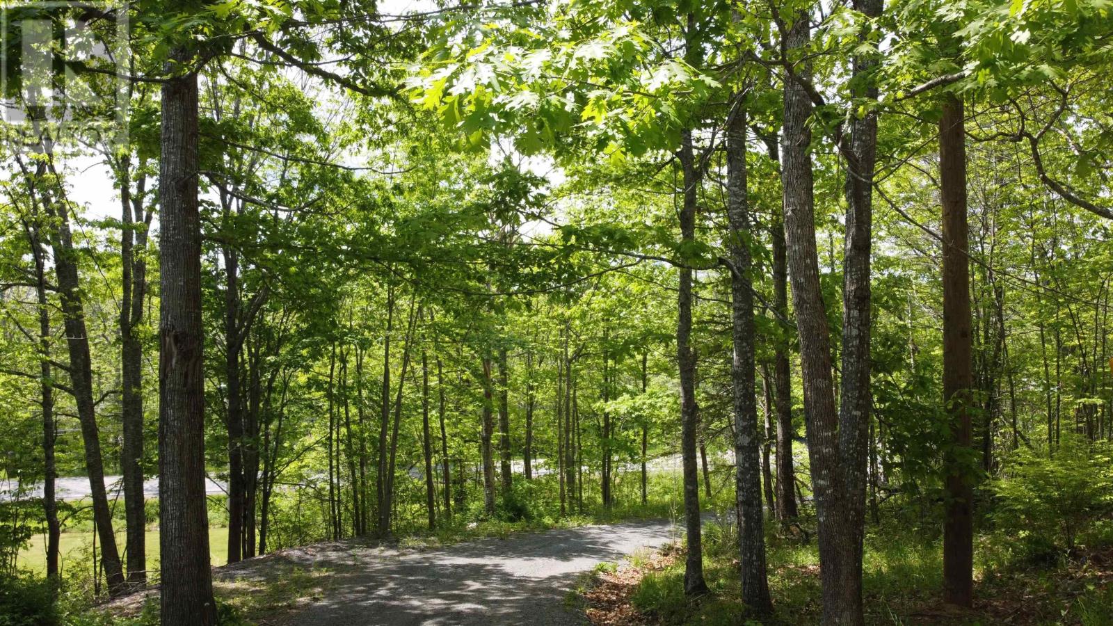 4820 Highway 215, Summerville, Nova Scotia  B0N 2A0 - Photo 10 - 202519354