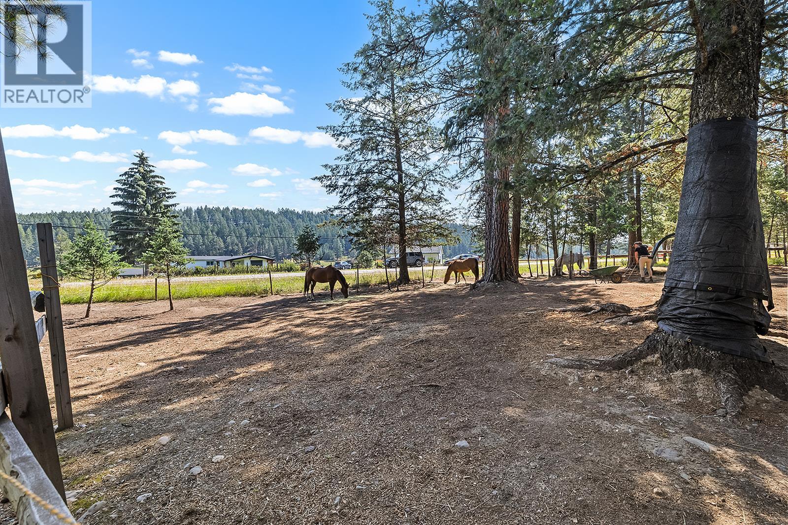 3665 Sweet Road, Baynes Lake, British Columbia  V0B 1T4 - Photo 36 - 10358742