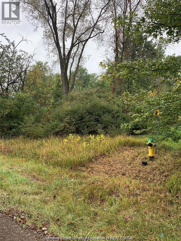 V/l Brush Sideroad, Essex, Ontario  N8M 2X6 - Photo 2 - 25020159