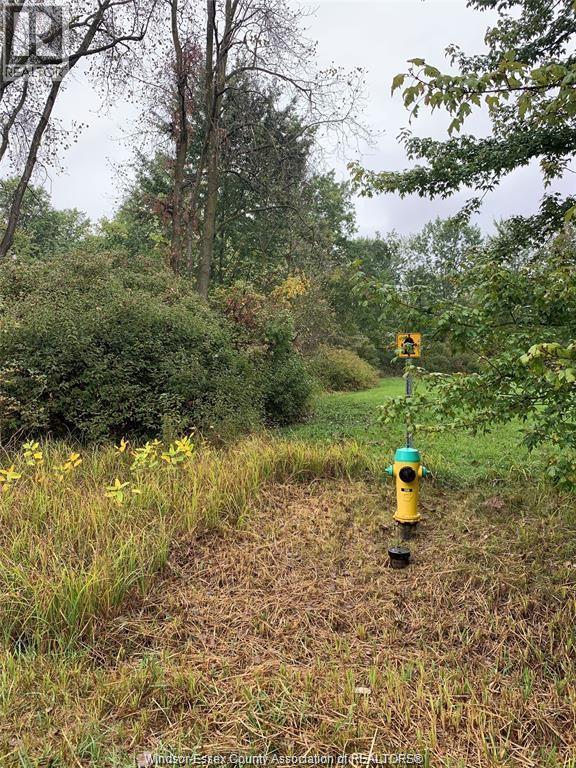 V/l Brush Sideroad, Essex, Ontario  N8M 2X6 - Photo 4 - 25020159