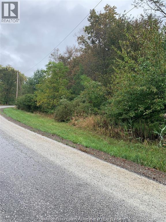 V/l Brush Sideroad, Essex, Ontario  N8M 2X6 - Photo 4 - 25020158