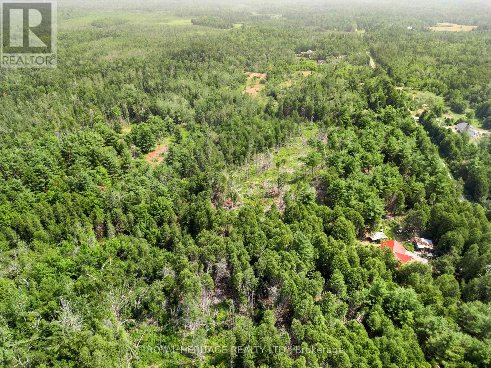 201 Dutch Line Road, Trent Lakes, Ontario K0M 2A0 - Photo 17 - X12332711