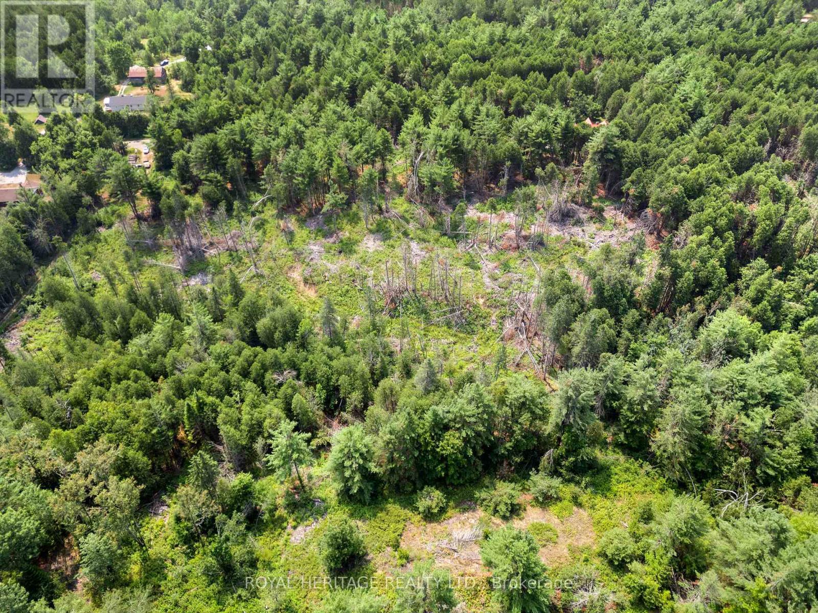 201 Dutch Line Road, Trent Lakes, Ontario K0M 2A0 - Photo 8 - X12332711