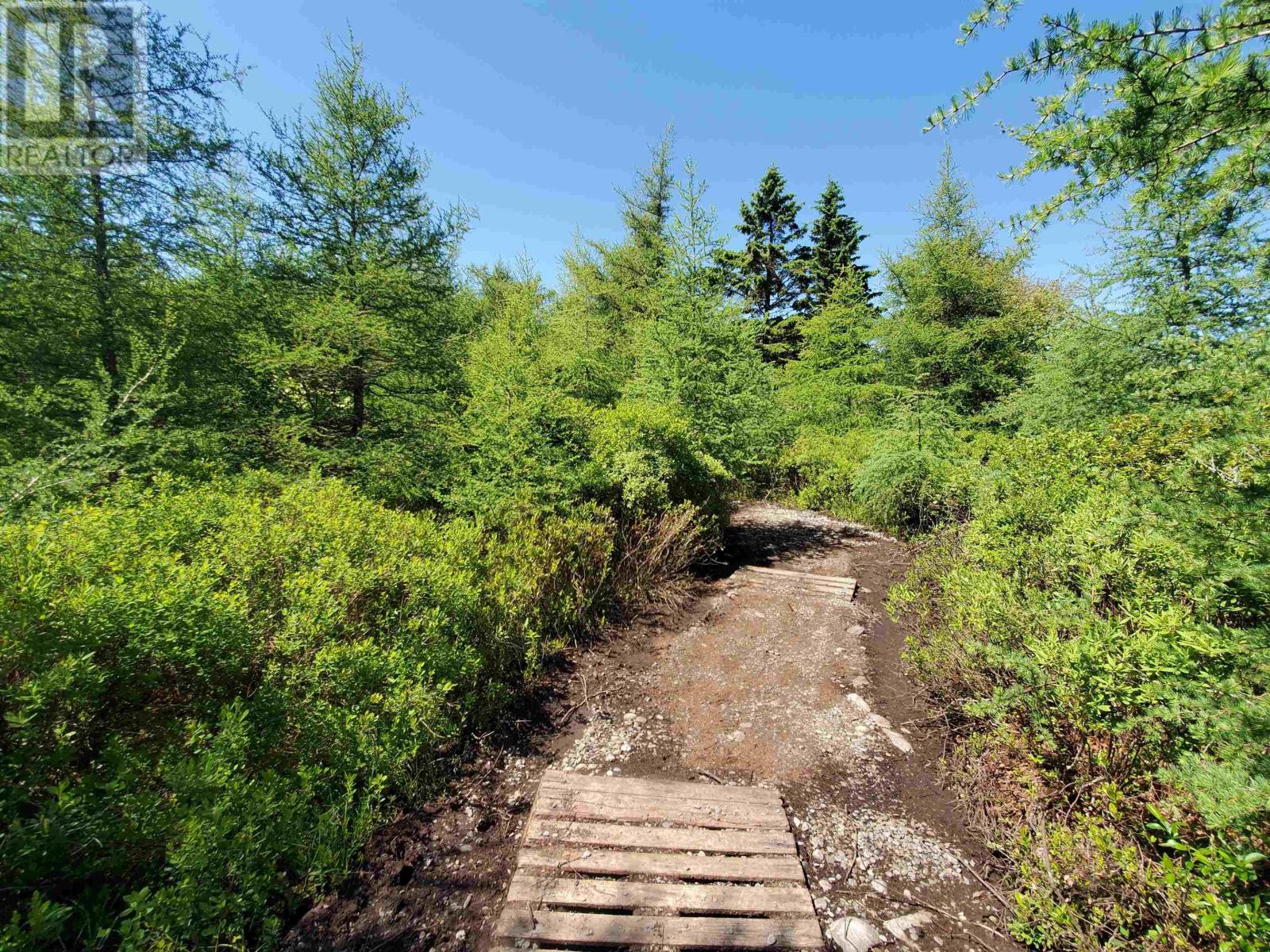 5096 Shore Road, North East Harbour, Nova Scotia  B0T 1W0 - Photo 42 - 202516943