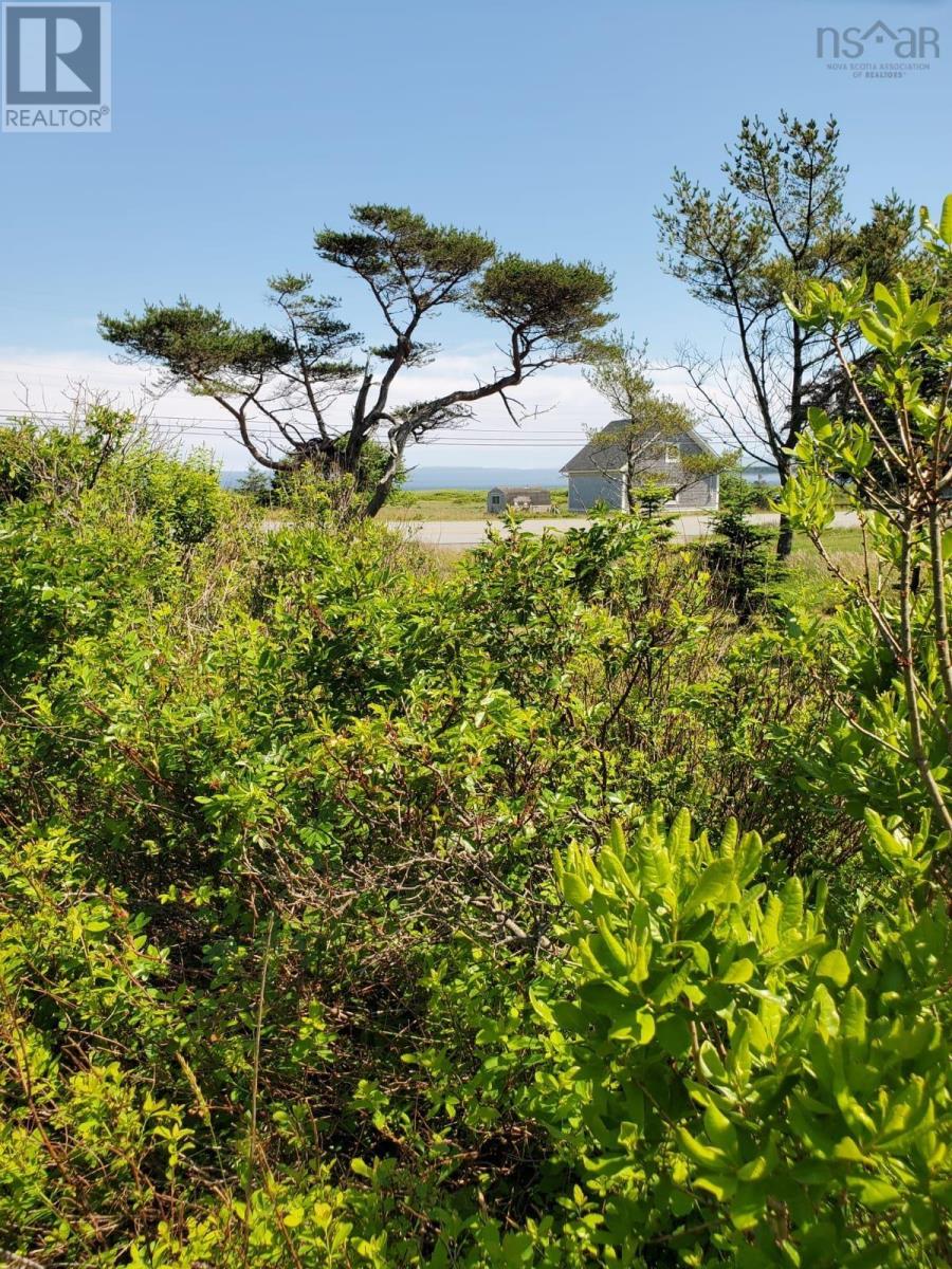 5096 Shore Road, North East Harbour, Nova Scotia  B0T 1W0 - Photo 46 - 202516943
