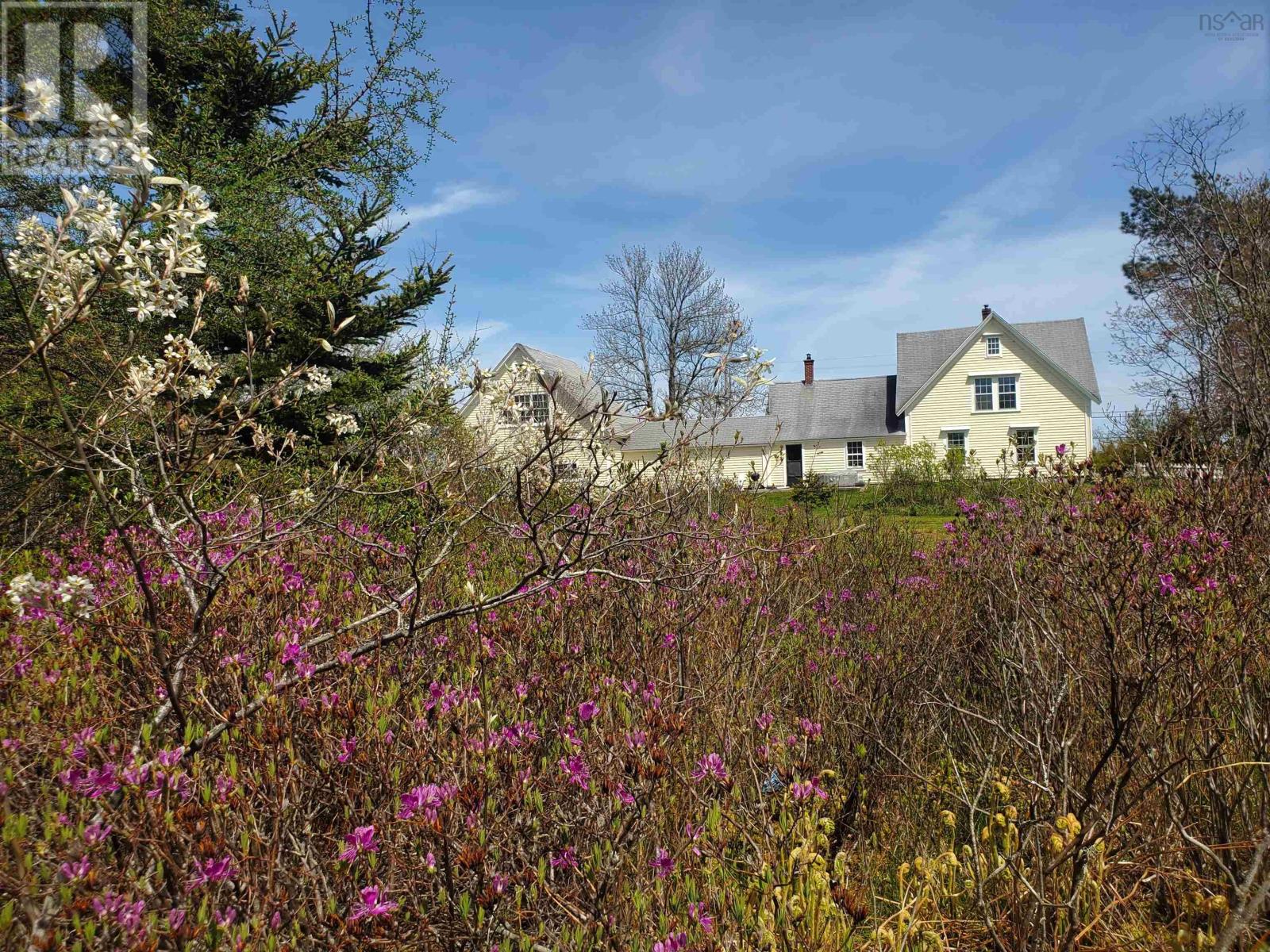 5096 Shore Road, North East Harbour, Nova Scotia  B0T 1W0 - Photo 38 - 202516943