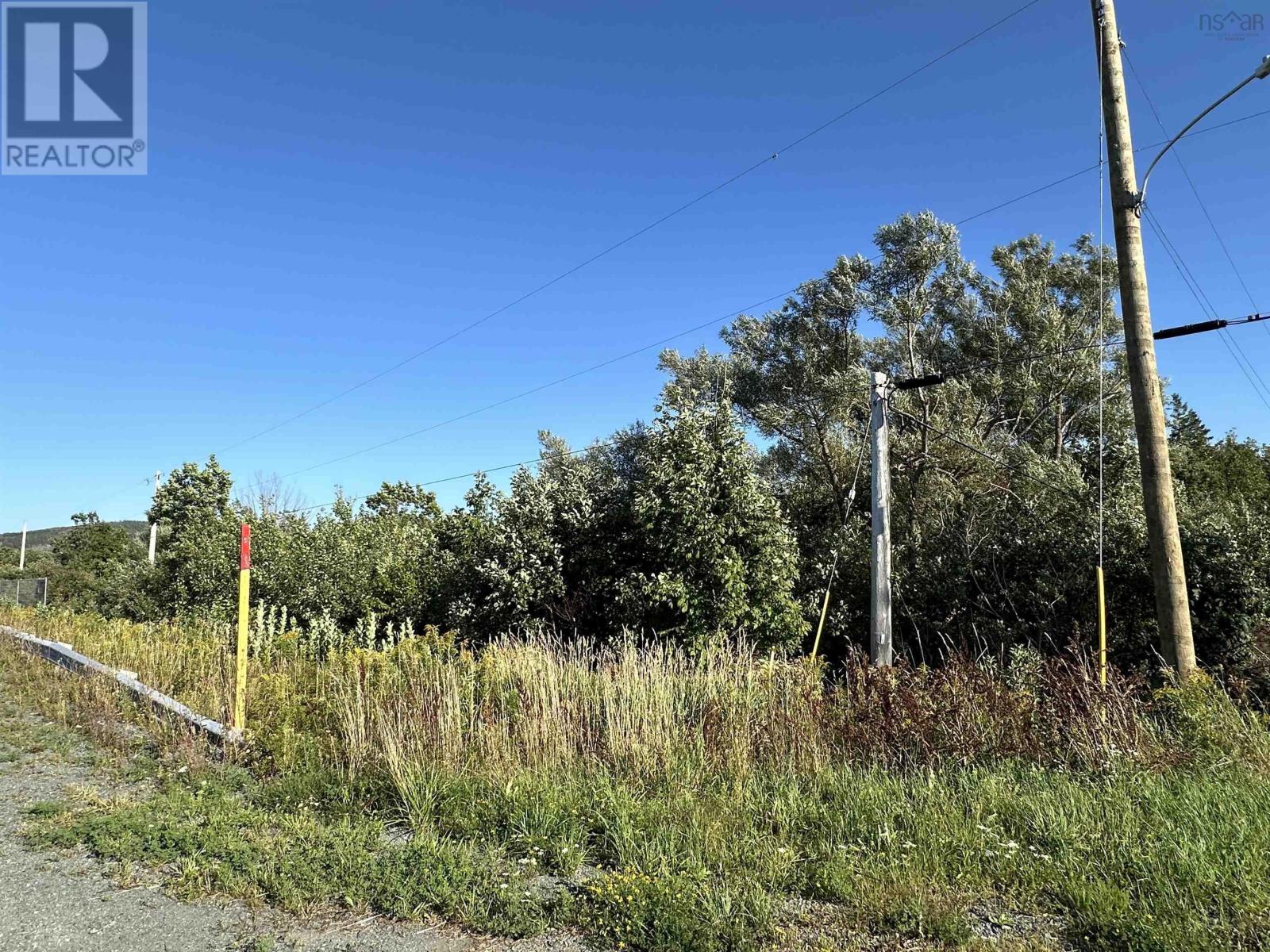 Lot 8.8 Acres Macgee Road, Lismore, Nova Scotia  B0K 1G0 - Photo 4 - 202518999