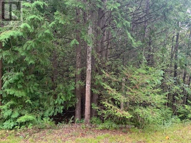 8 Ross Street, South Bruce Peninsula, Ontario  N0H 2T0 - Photo 25 - X12332607