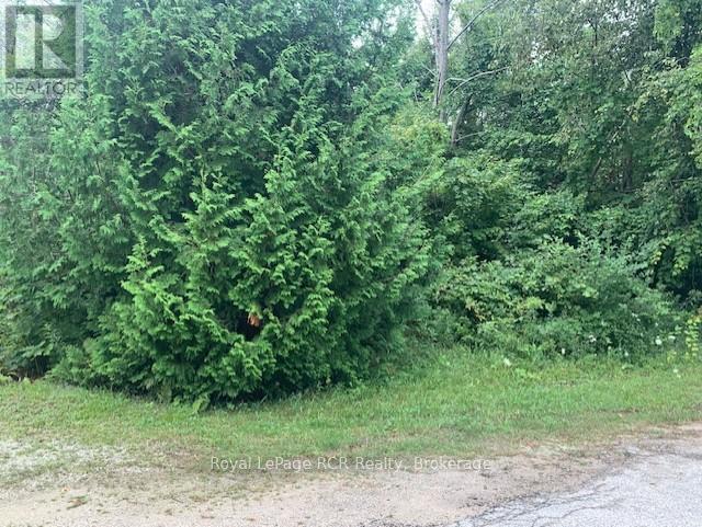 8 Ross Street, South Bruce Peninsula, Ontario  N0H 2T0 - Photo 26 - X12332607