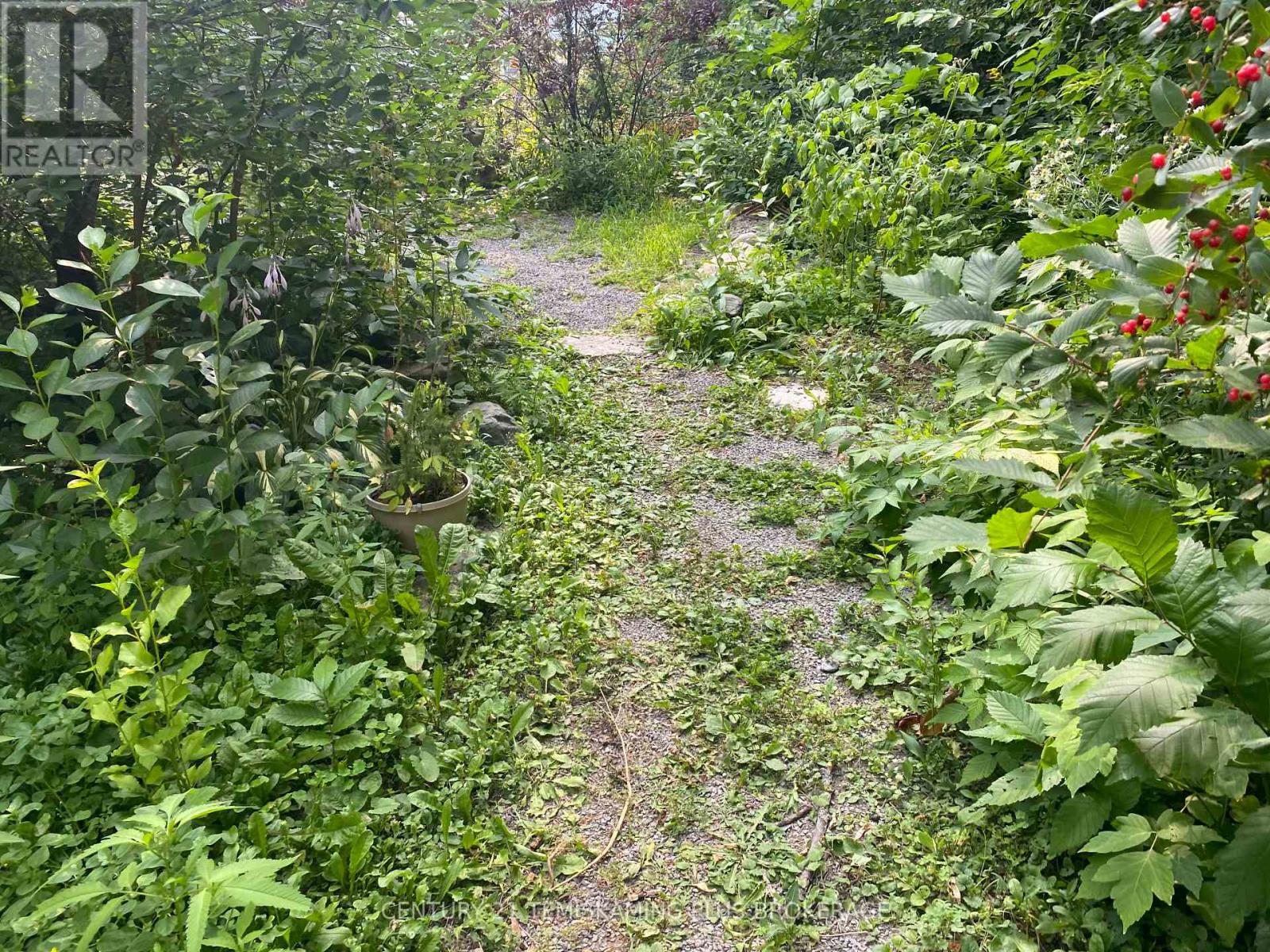 46 Paget Street N, Temiskaming Shores, Ontario  P0J 1P0 - Photo 25 - T12333204