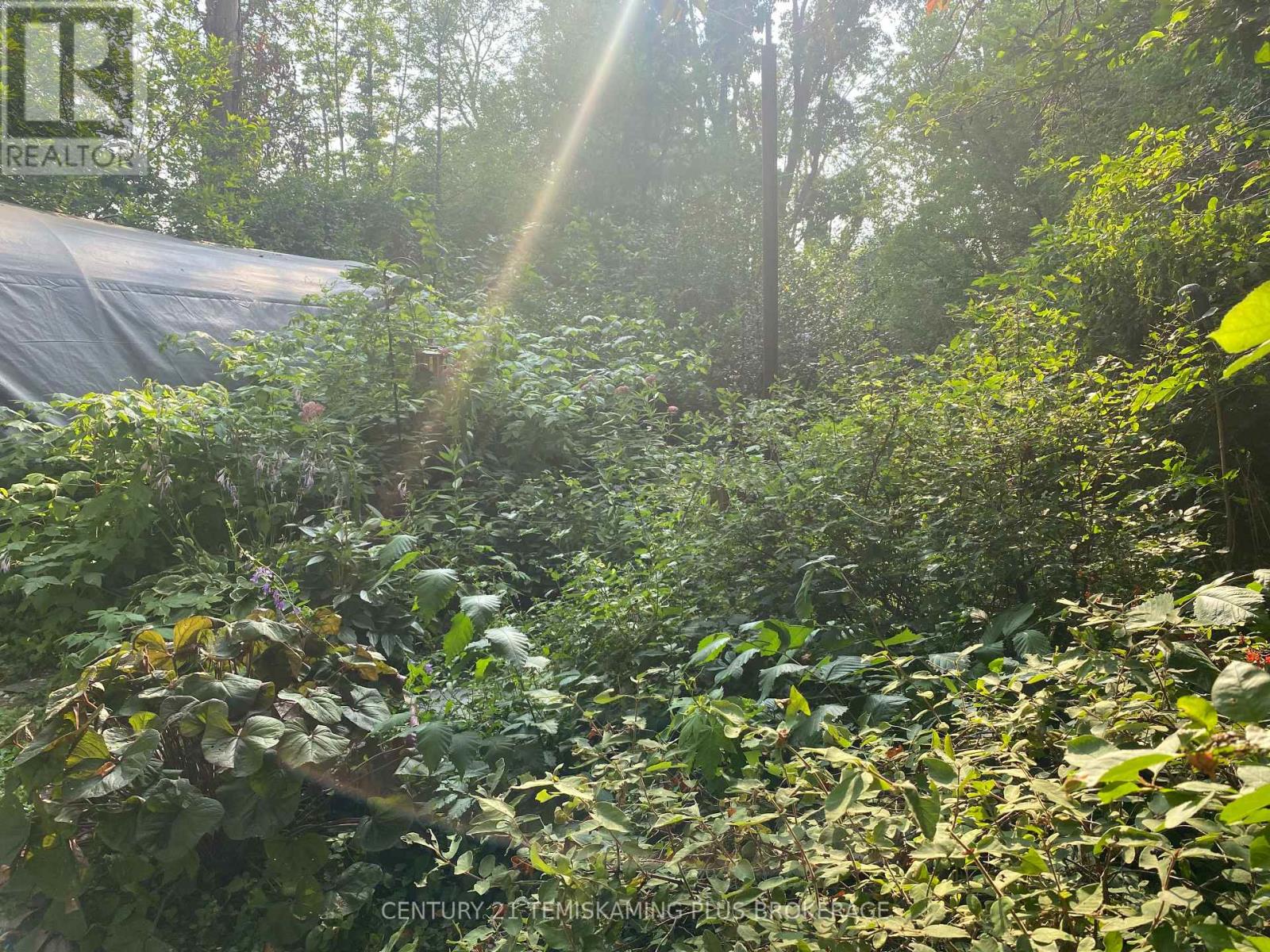 46 Paget Street N, Temiskaming Shores, Ontario  P0J 1P0 - Photo 26 - T12333204