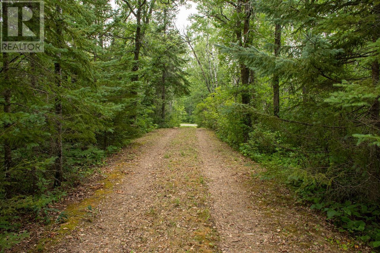 40 Ottilie Road, Morson, Ontario  P0W 1J0 - Photo 13 - TB252445