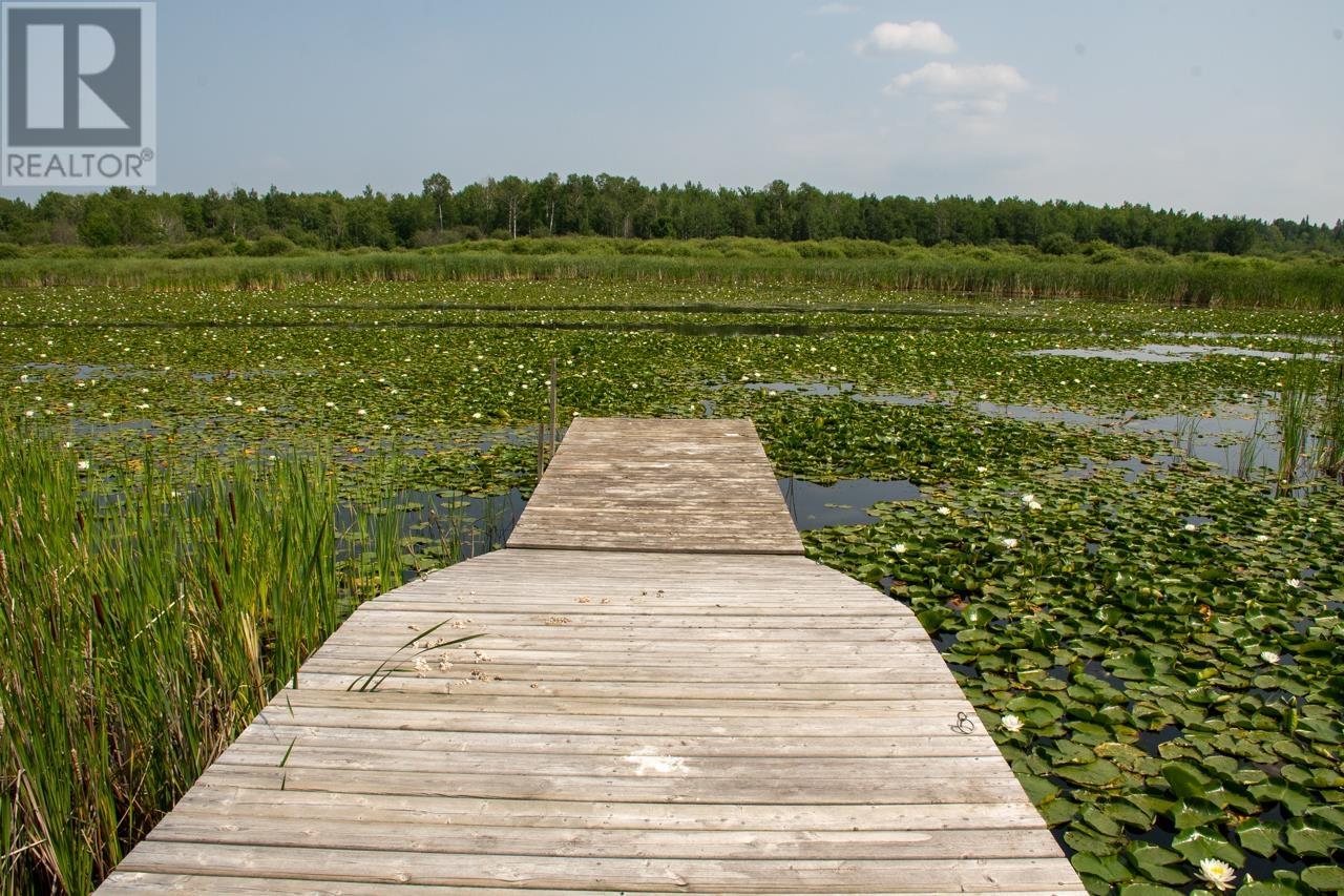 40 Ottilie Road, Morson, Ontario  P0W 1J0 - Photo 46 - TB252445