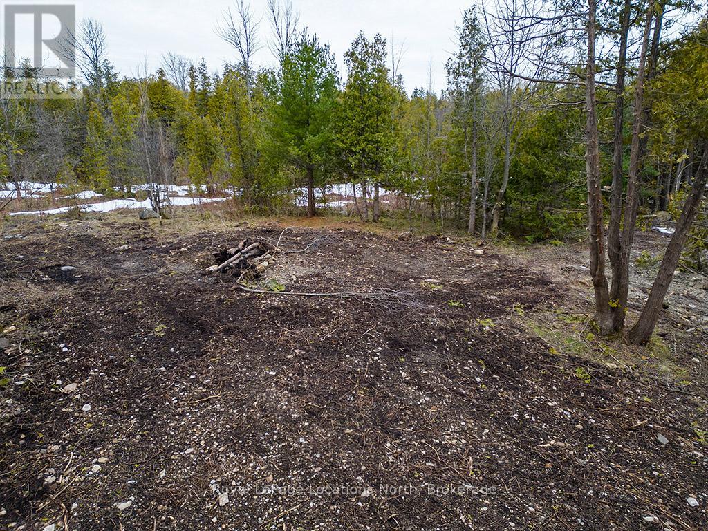 236 Lakeshore Road S, Meaford, Ontario  N4L 0A6 - Photo 7 - X12333156