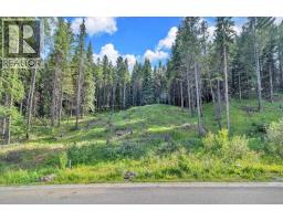 262 Southmore Place, Blairmore, Alberta