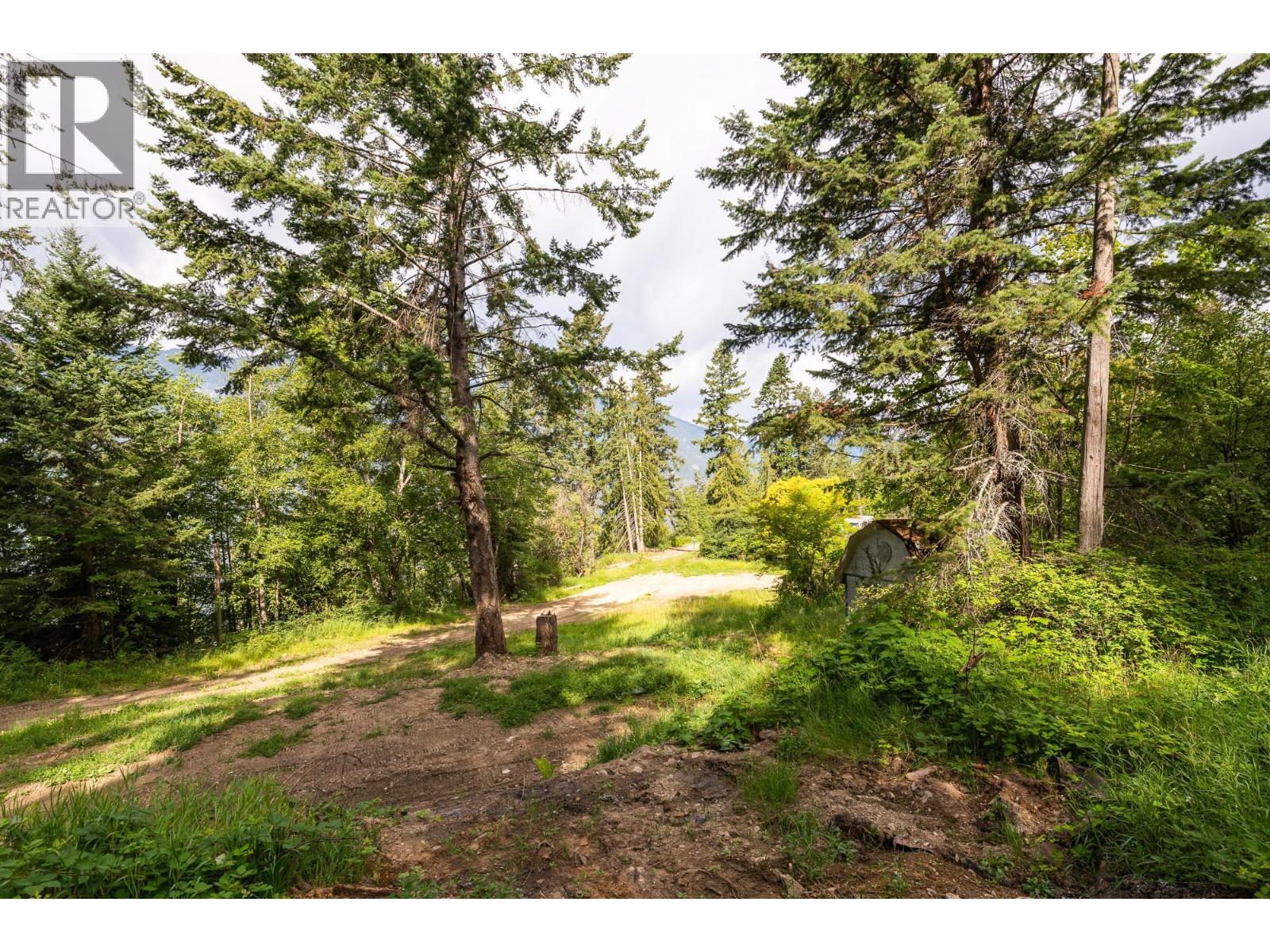 13828 3a Highway, Gray Creek, British Columbia  V0B 1S0 - Photo 44 - 10334428