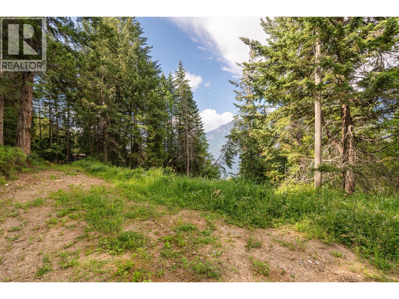 13828 3a Highway, Gray Creek, British Columbia  V0B 1S0 - Photo 46 - 10334428
