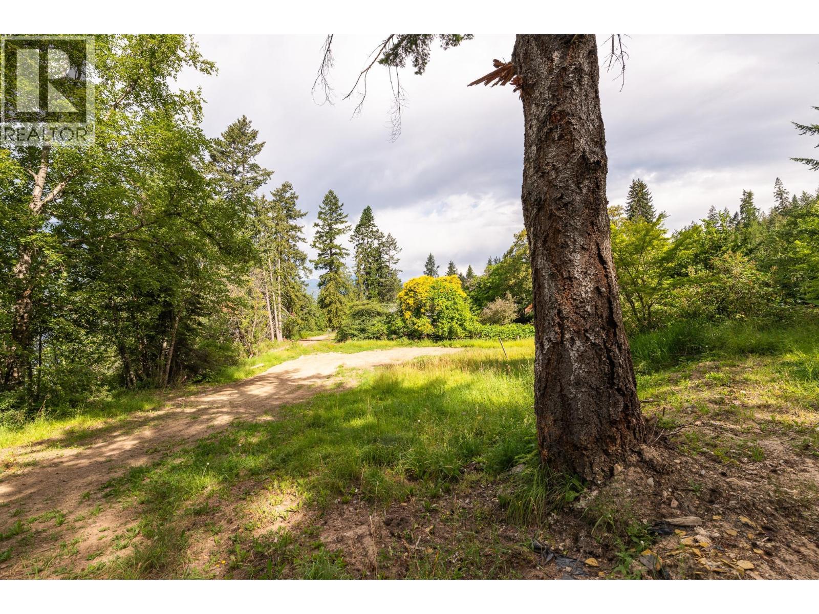 13828 3a Highway, Gray Creek, British Columbia  V0B 1S0 - Photo 42 - 10334428