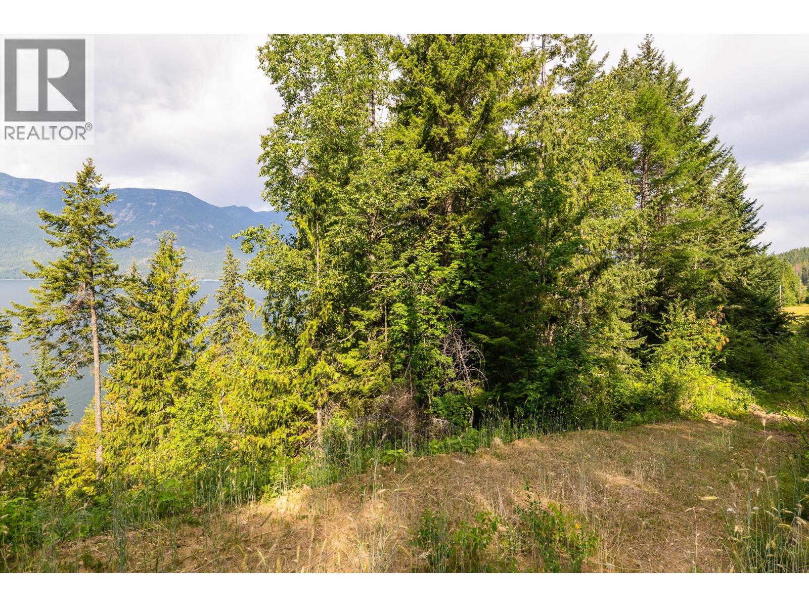13828 3a Highway, Gray Creek, British Columbia  V0B 1S0 - Photo 49 - 10334428