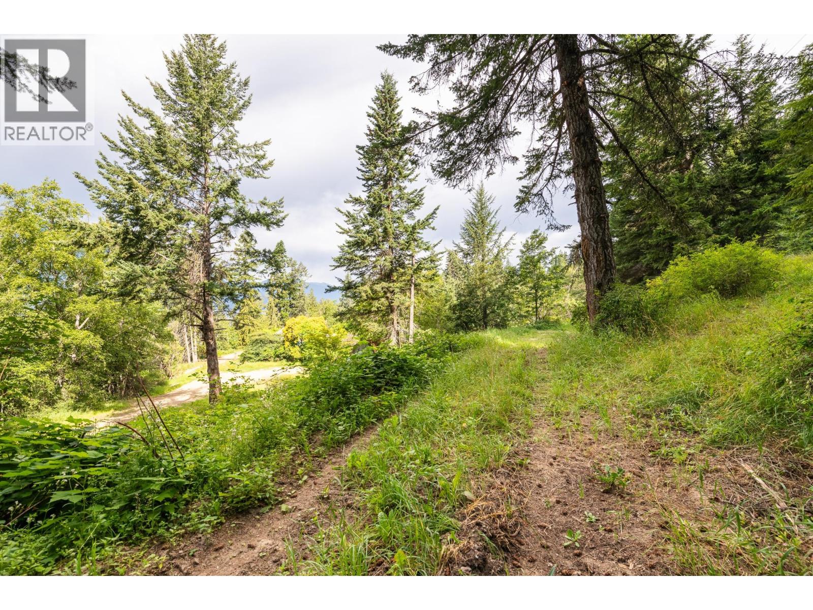 13828 3a Highway, Gray Creek, British Columbia  V0B 1S0 - Photo 51 - 10334428