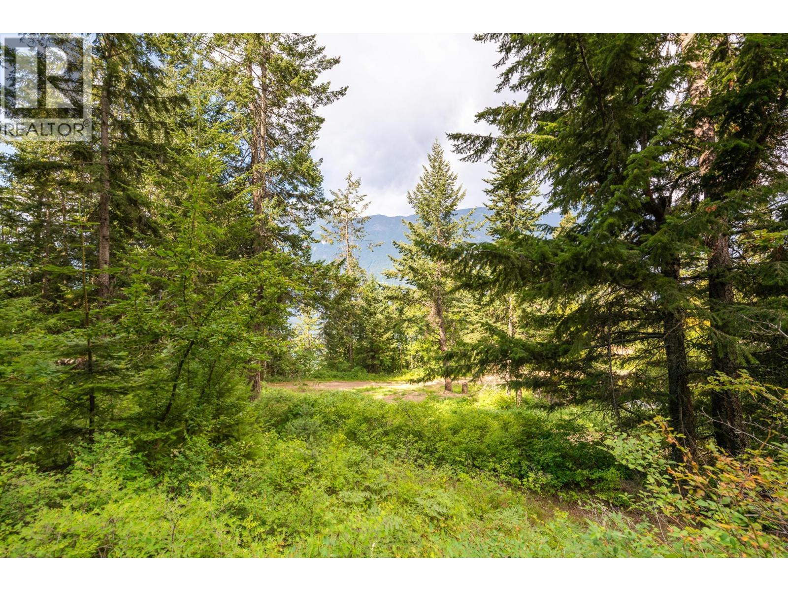 13828 3a Highway, Gray Creek, British Columbia  V0B 1S0 - Photo 47 - 10334428