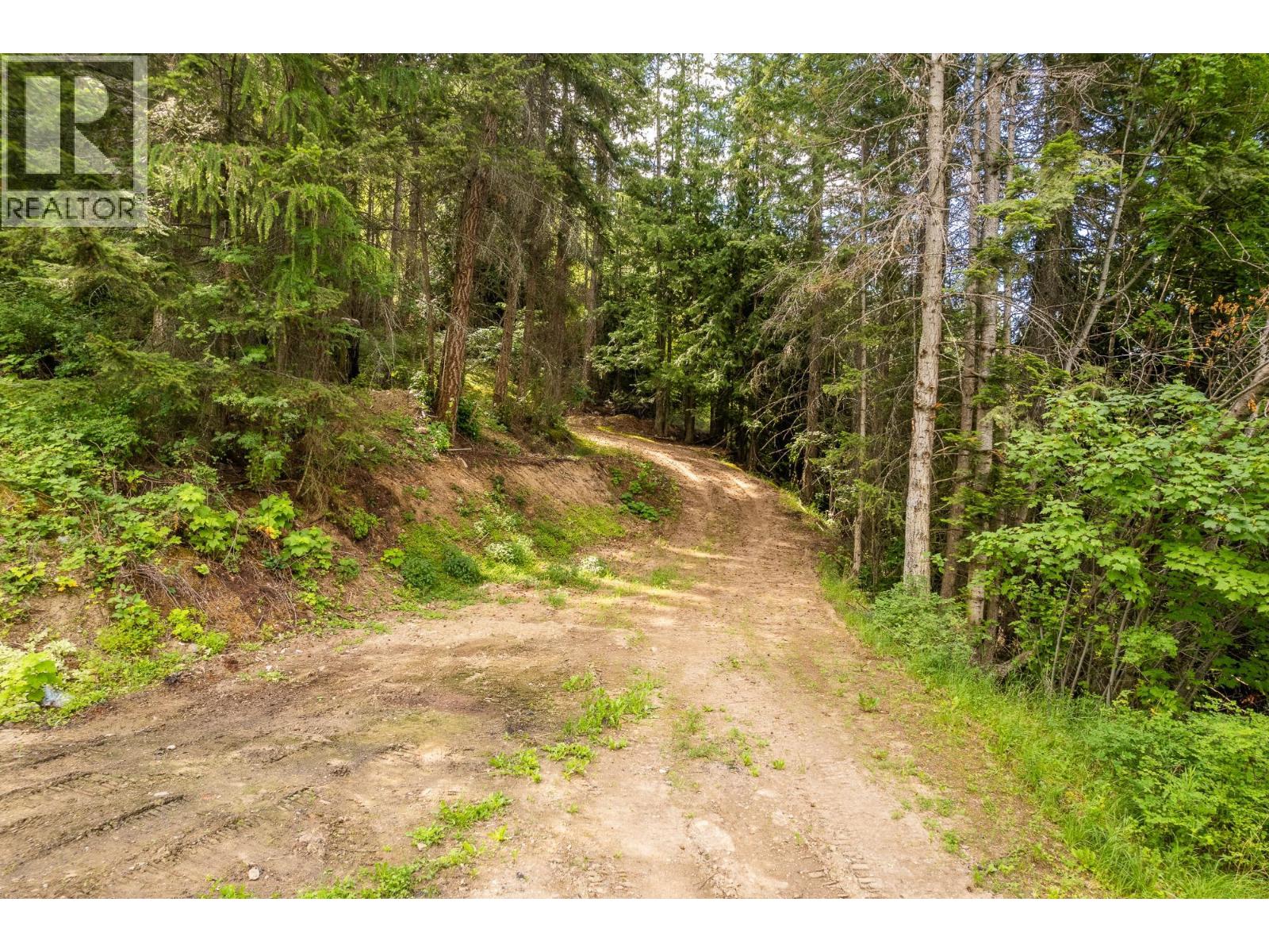 13828 3a Highway, Gray Creek, British Columbia  V0B 1S0 - Photo 38 - 10334428