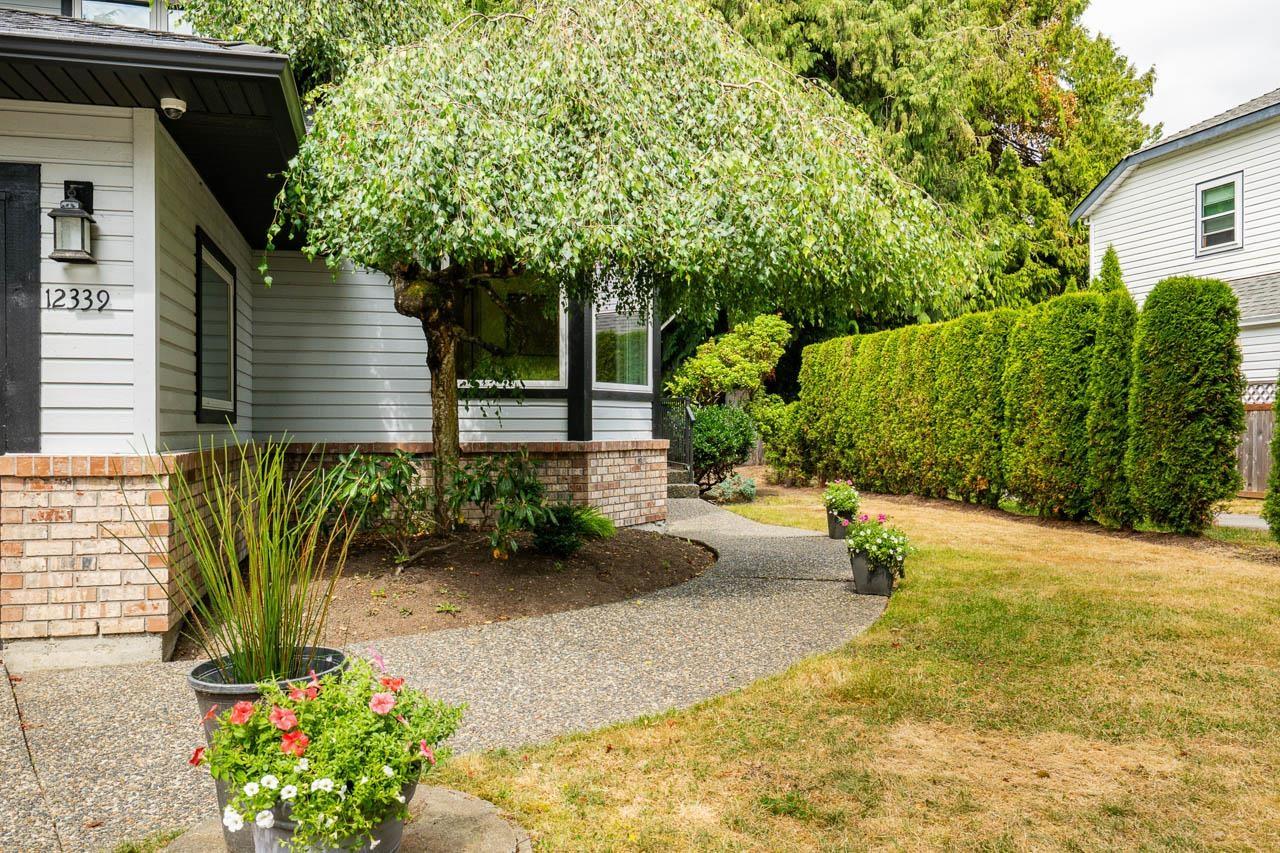 12339 Southpark Crescent Crescent, Surrey, British Columbia  V3X 2C1 - Photo 3 - R3034073