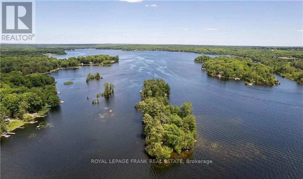 8 Fire Route 27, Trent Lakes, Ontario  K0L 1J0 - Photo 19 - X12333221