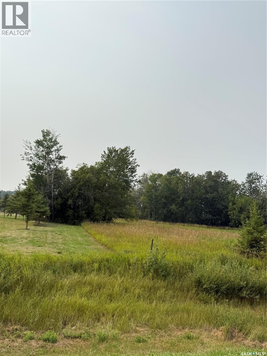 Lucas Acreage, Preeceville Rm No. 334, Saskatchewan  S0A 3B0 - Photo 38 - SK005036