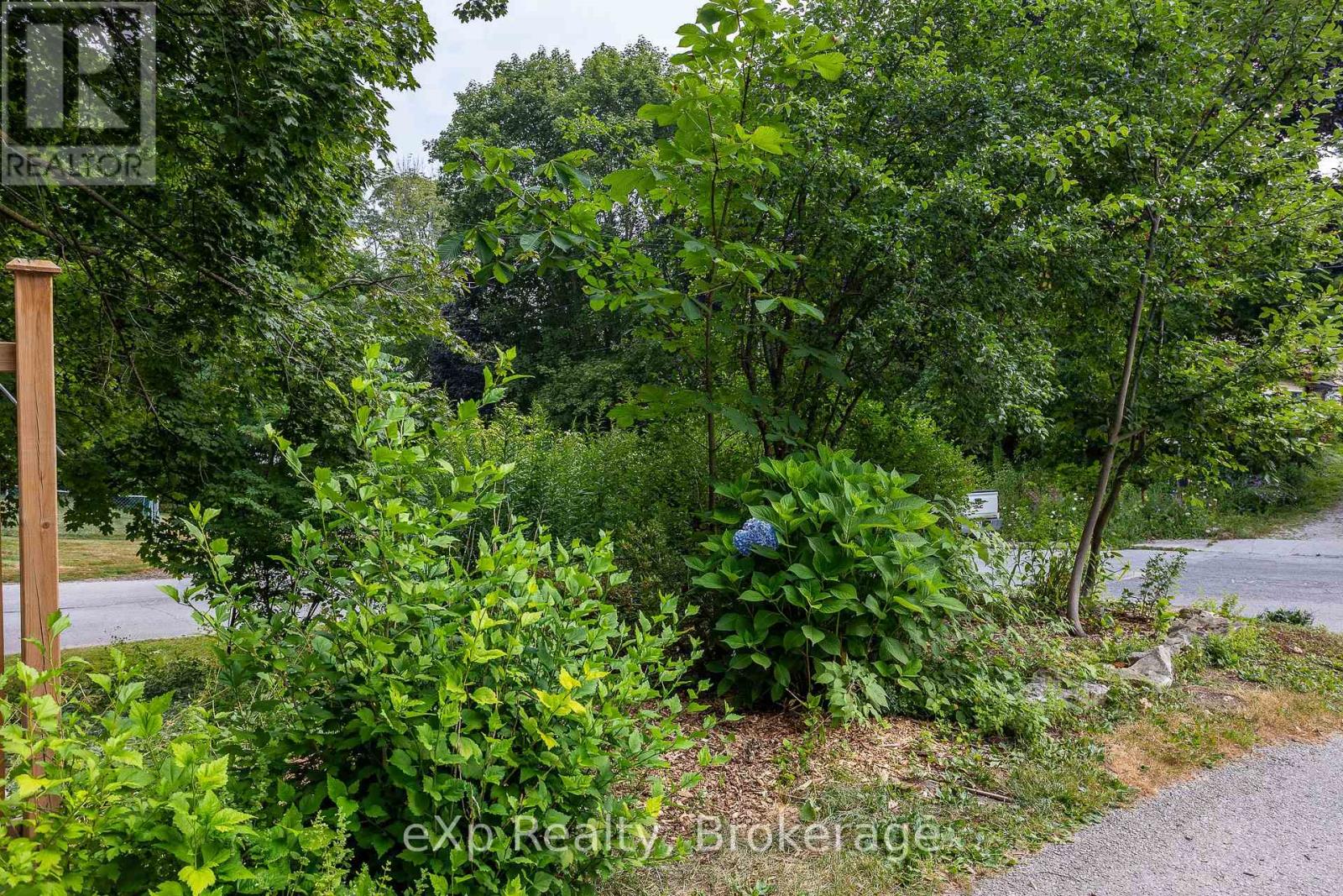 934 5th Avenue W, Owen Sound, Ontario  N4K 5A6 - Photo 8 - X12333439