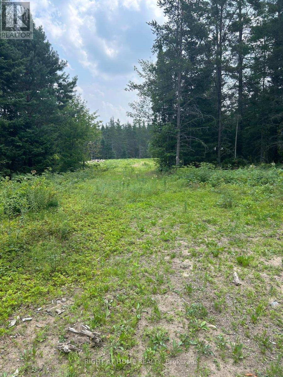1123 Fourth Ave. Avenue, Mcmurrich/monteith, Ontario  P0A 1Y0 - Photo 4 - X12333245