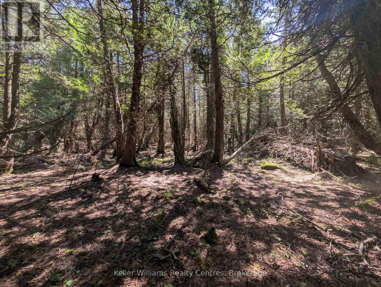 Pt Lt 56 Con 4 Cape Hurd Road, Northern Bruce Peninsula, Ontario  N0H 2R0 - Photo 18 - X12250745