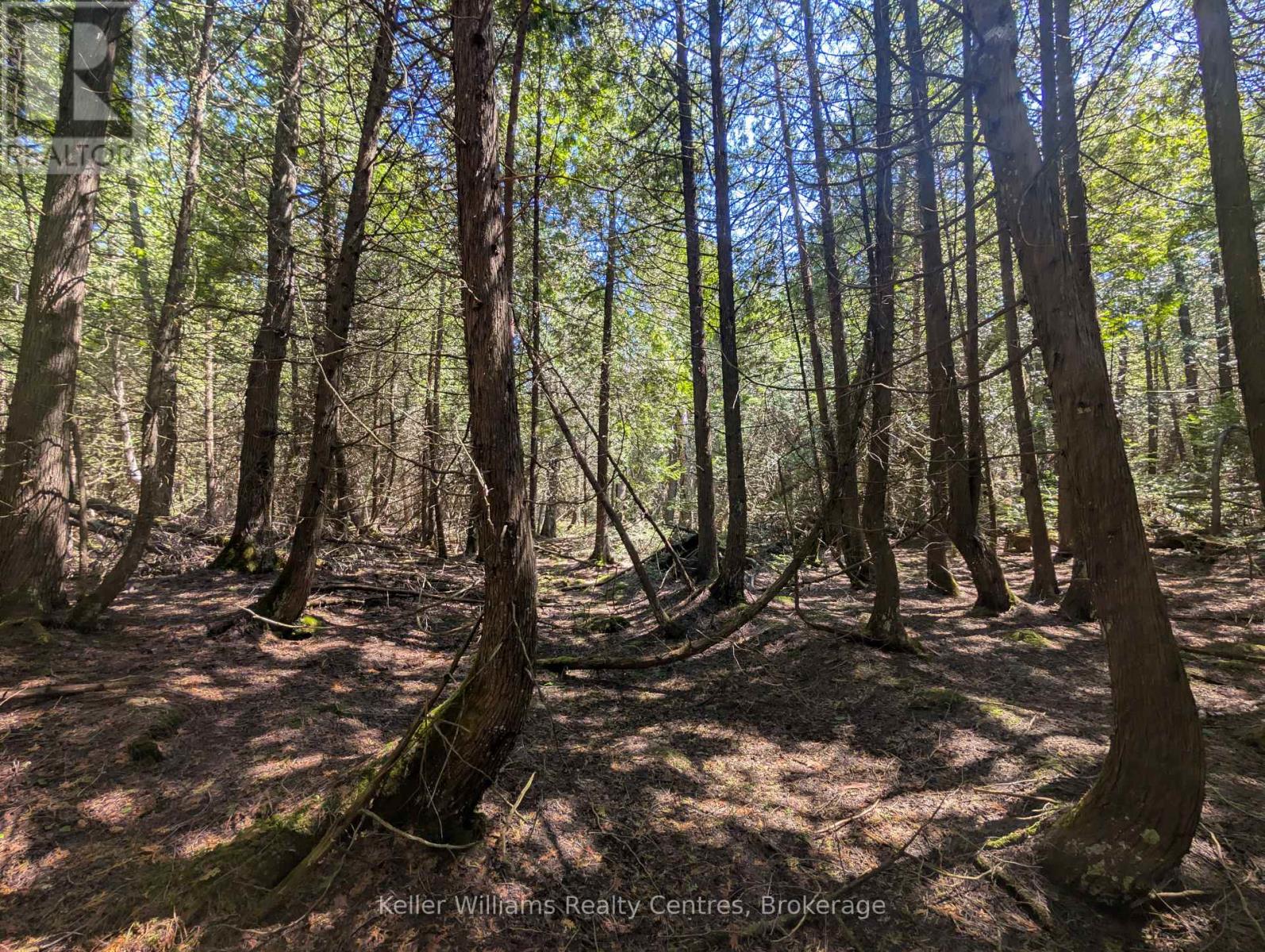 Pt Lt 56 Con 4 Cape Hurd Road, Northern Bruce Peninsula, Ontario  N0H 2R0 - Photo 17 - X12250745