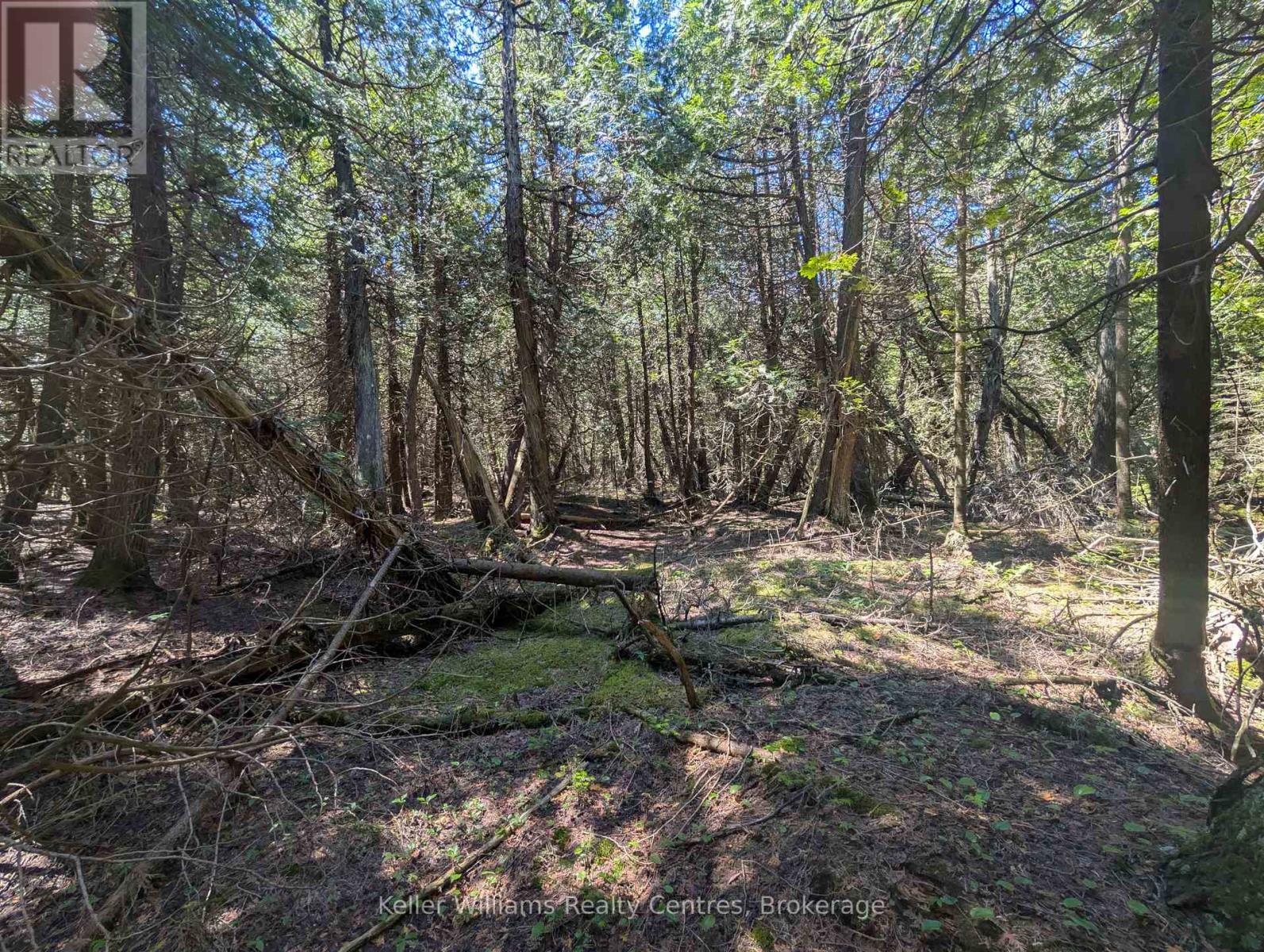 Pt Lt 56 Con 4 Cape Hurd Road, Northern Bruce Peninsula, Ontario  N0H 2R0 - Photo 27 - X12250745