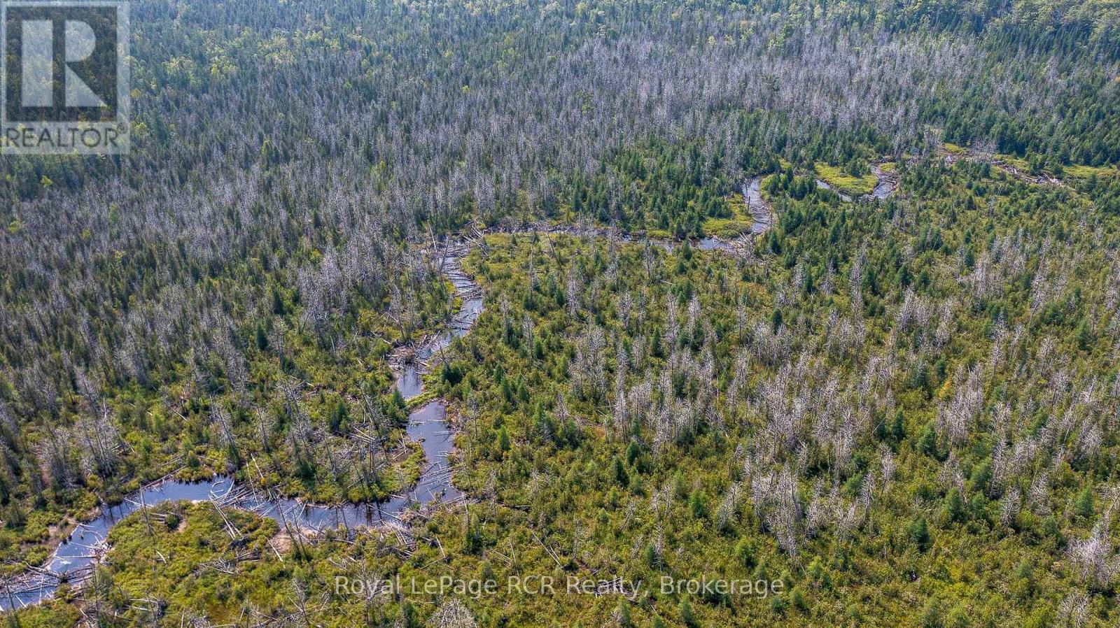 Lot 6 12th Concession B, Grey Highlands, Ontario N0C 1E0 - Photo 10 - X12333527