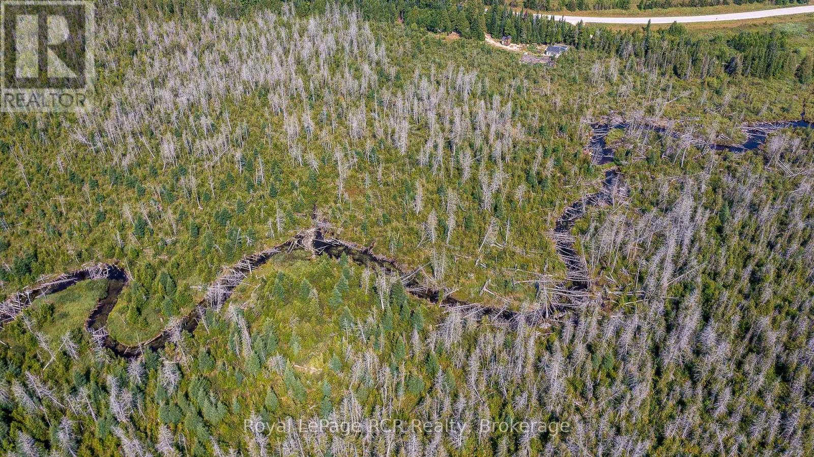 Lot 6 12th Concession B, Grey Highlands, Ontario N0C 1E0 - Photo 13 - X12333527